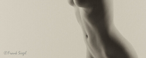 ABC 9383torsoCRnonip72800