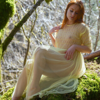 cozylilu---2020-04-17---240852069