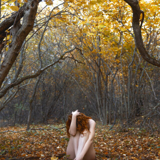 cozylilu---2020-11-02---1183572284