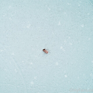 cozylilu---2021-01-22---2014569666